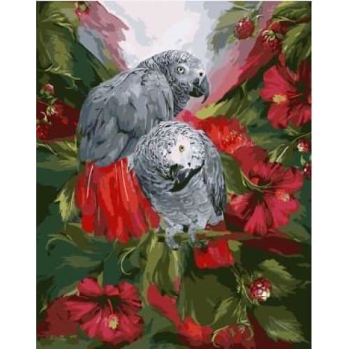 African Gray Parrots – Canvastly DIY Paint By Numbers - 