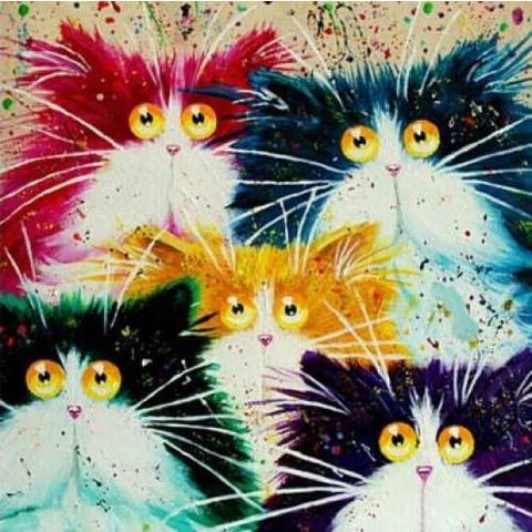 Image of Amazed Felines – Canvastly DIY Paint By Numbers - 