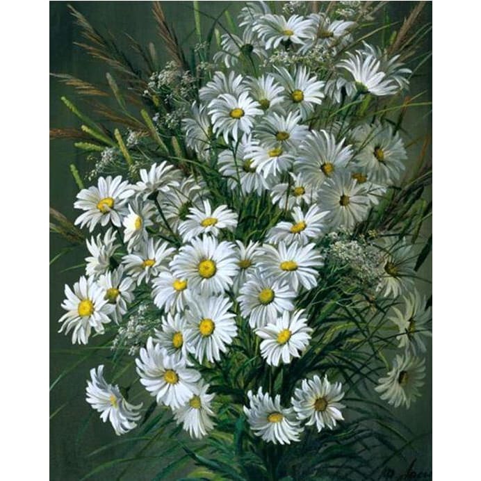 Daisies - Canvastly DIY Paint By Numbers - 40x50cm/16x20