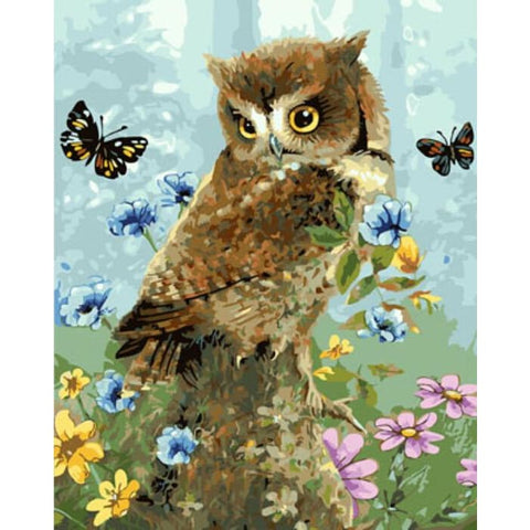 Image of Little Owl – Canvastly DIY Paint By Numbers - 40X50 