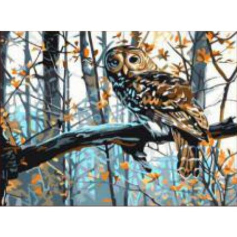 Image of Owl in the Forest – Canvastly DIY Paint By Numbers - 
