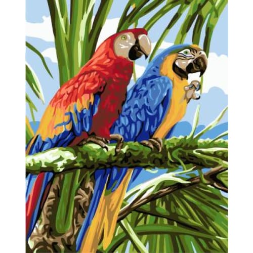 Parrots – Canvastly DIY Paint By Numbers - 40X50cm/16X20’’ -