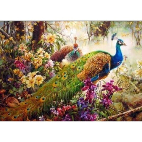Image of Peacock - Canvastly DIY Paint By Numbers - 40x50cm/16x20’’