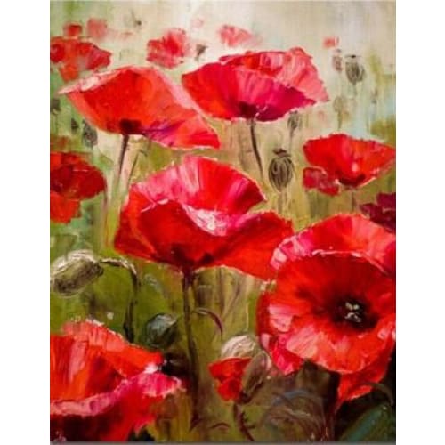 Poppies – Canvastly DIY Paint By Numbers - 40X50cm/16X20’’ -