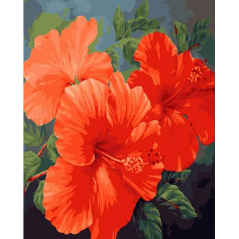 Image of Red Hibiscus – Canvastly DIY Paint By Numbers - 40X50cm - 