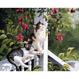 Summer Cats - Canvastly DIY Paint By Numbers - 