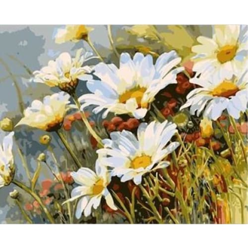 Summer Daisies – Canvastly DIY Paint By Numbers - no frame 